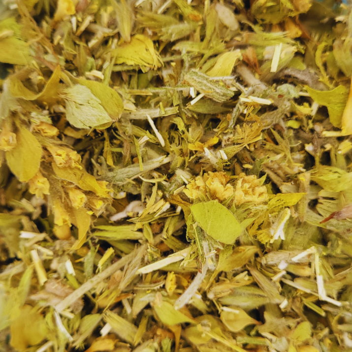 Was ist Griechischer Bergtee? - TEAMOND_tee_Bio_online-shop