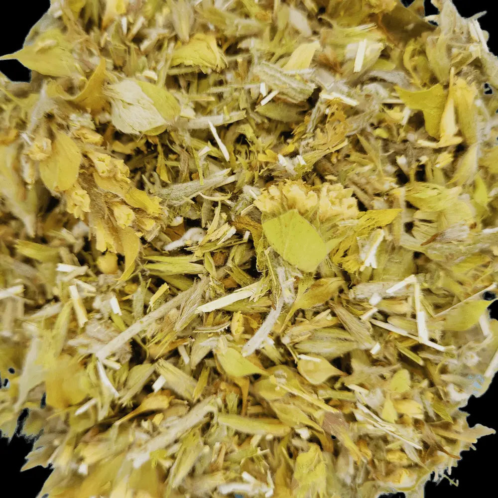 teamond_griechischer_bergtee_bio_tee_tea_online_kaufen_kraeutertee