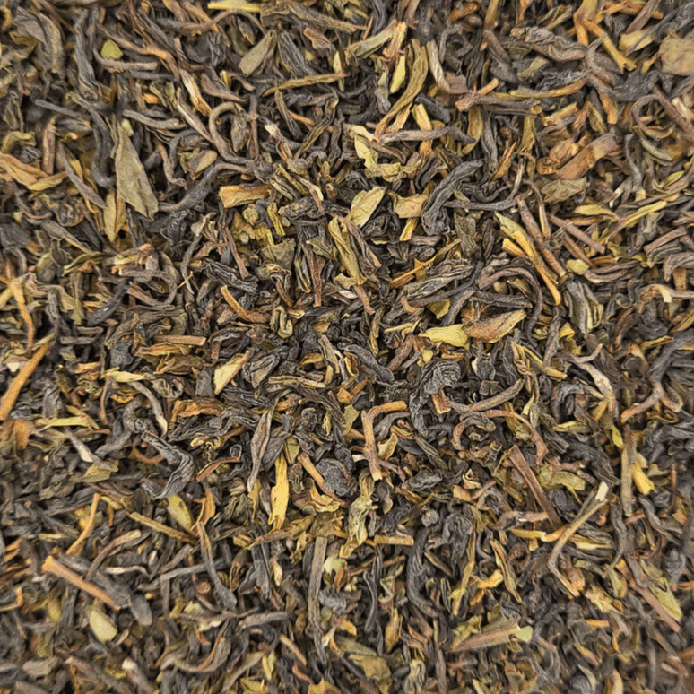 TEAMOND - Darjeeling_first flush_Bio_Tee_Schwarztee